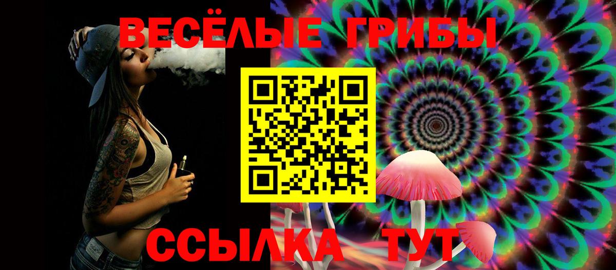 Псилоцибиновые грибы Cubensis  Псилоцибиновые грибы MAGIC MUSHROOMS  Верхняя Пышма  наркота  Вход с VPN 