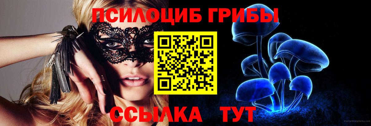 Галлюциногенные грибы мухоморы Верхняя Пышма